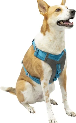 Harnas kurgo journey air tuigje bl-l