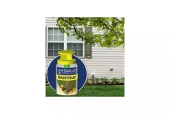 Herbruikbare wespenval