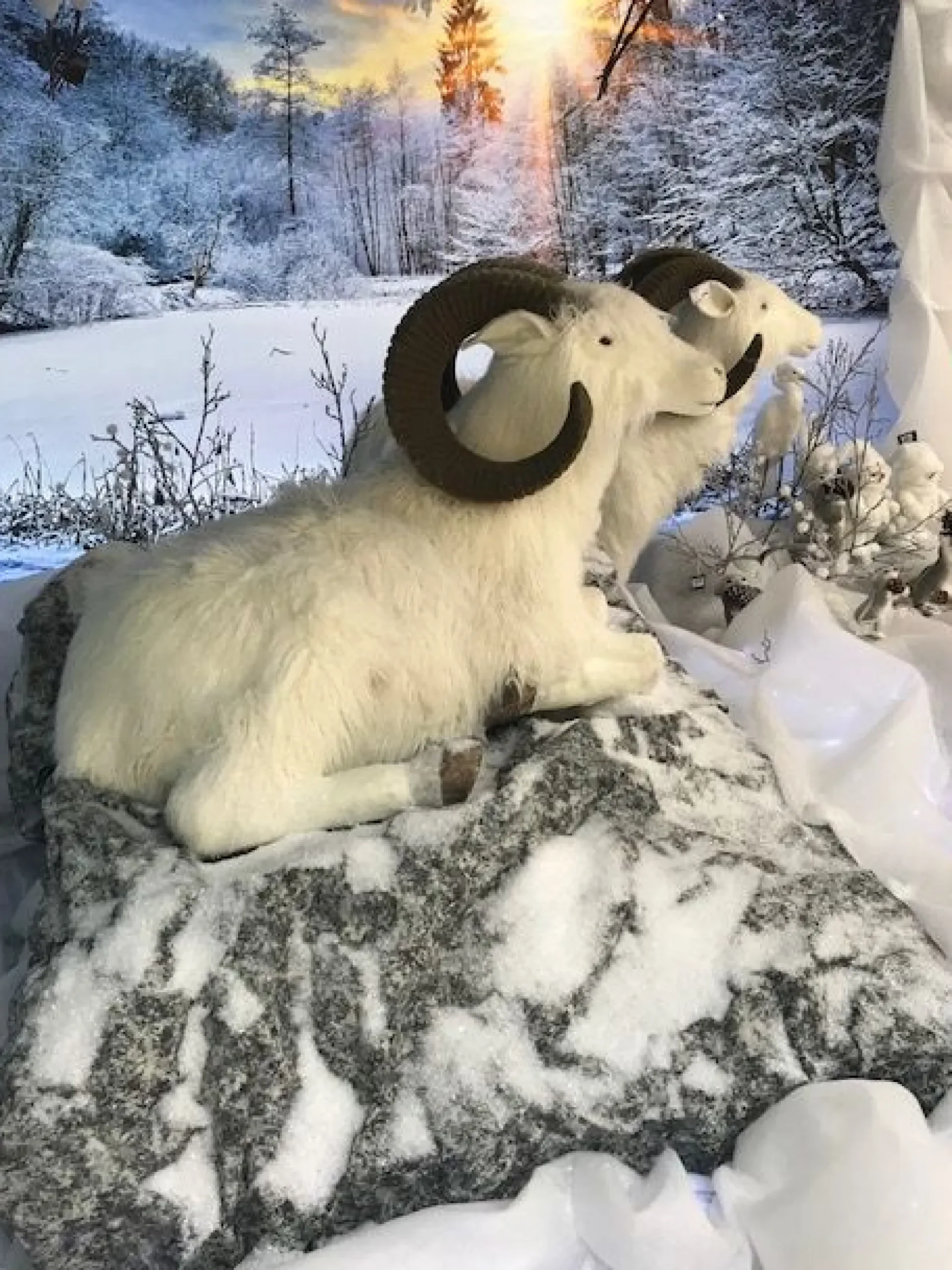 Hervormbare sheet rots 100x60cm