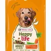 Hondenbrokken happy life adult met rundsmaak 2,5kg