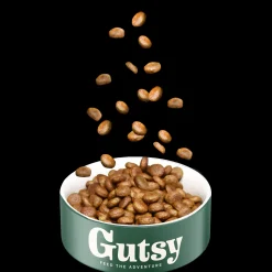 Hondenbrokken kip en insect 10kg adult large