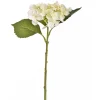 Hydrangea creme 45 cm