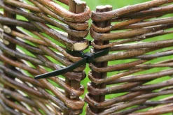 Kabelbinder 30cm zwart 25 stuks