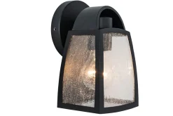 Kelsey wandlamp - helder glas mat zwart e27 40w