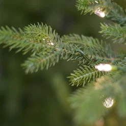 Kerstboom buckingham 213cm 650 led