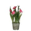 Kievitsbloem in roze plastic pot - h23xd8,5cm