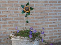 Kleine zonnebloem windmolen