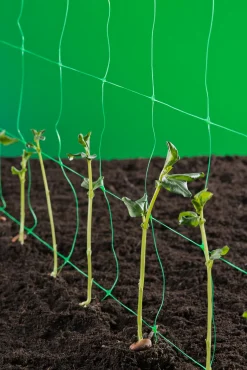 Klim-groei-geleidenet 2x5m groen