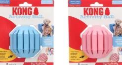 Kong puppy activity ball m
