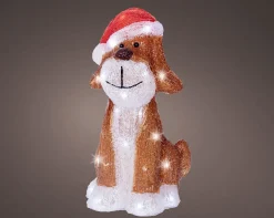 Led hond acryl steady