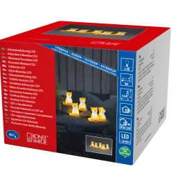 Led lichtsnoer met 5 vosjes