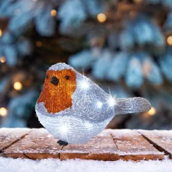 Led roodborstje acryl