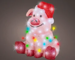 Led varken acryl steady