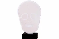 Ledlicht skull