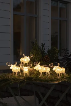 Lichtsnoer 5 acryl elanden 5m 40led warmwit voor buiten