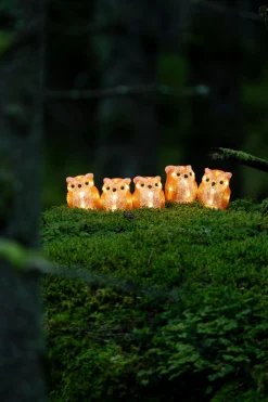 Lichtsnoer 5 acryl uilen 5m 40led warmwit voor buiten