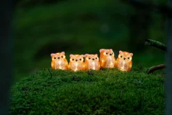 Lichtsnoer 5 acryl uilen 5m 40led warmwit voor buiten