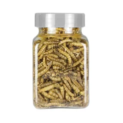 Meelwormen 100 ml. (vriesdroog)