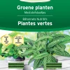Meststofstaafjes voor groene planten 40 stuks