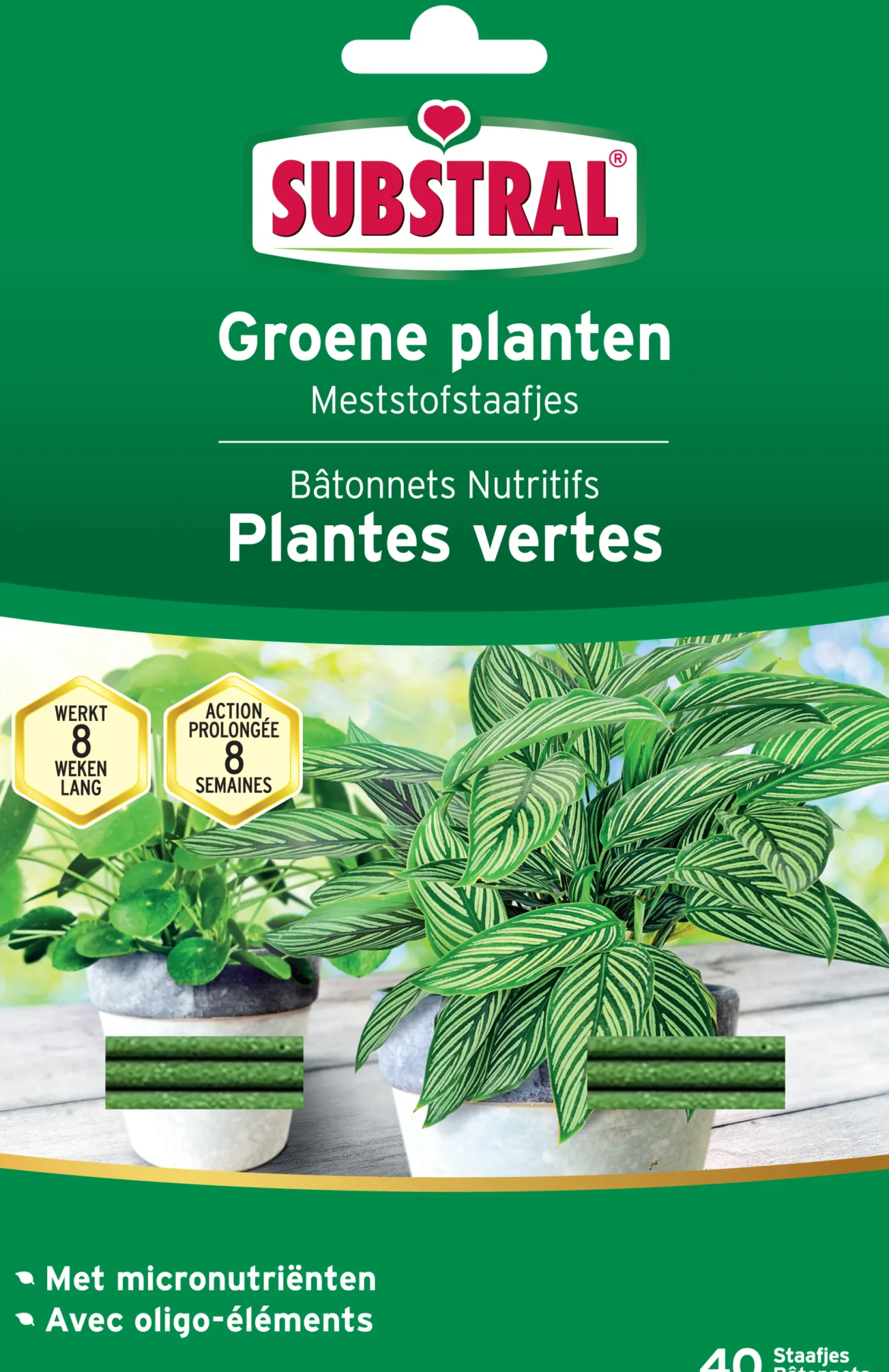 Meststofstaafjes voor groene planten 40 stuks