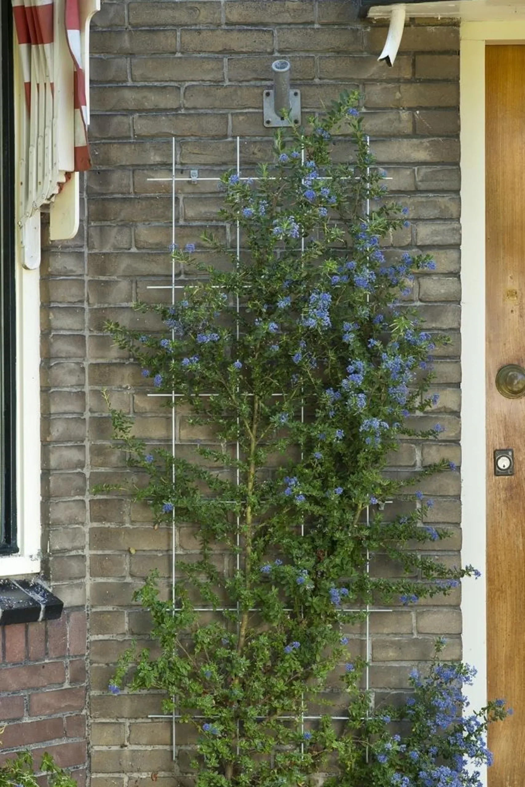 Metalen klimrek groen