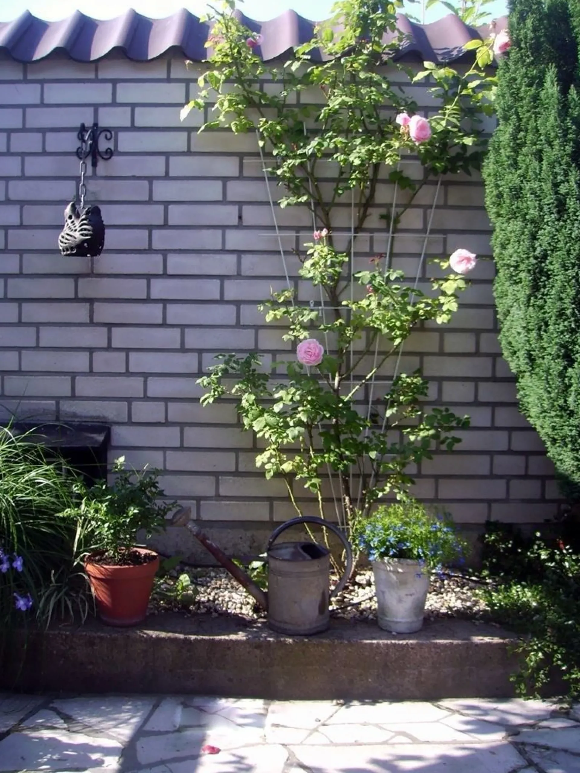 Metalen klimrek V-vorm grijs