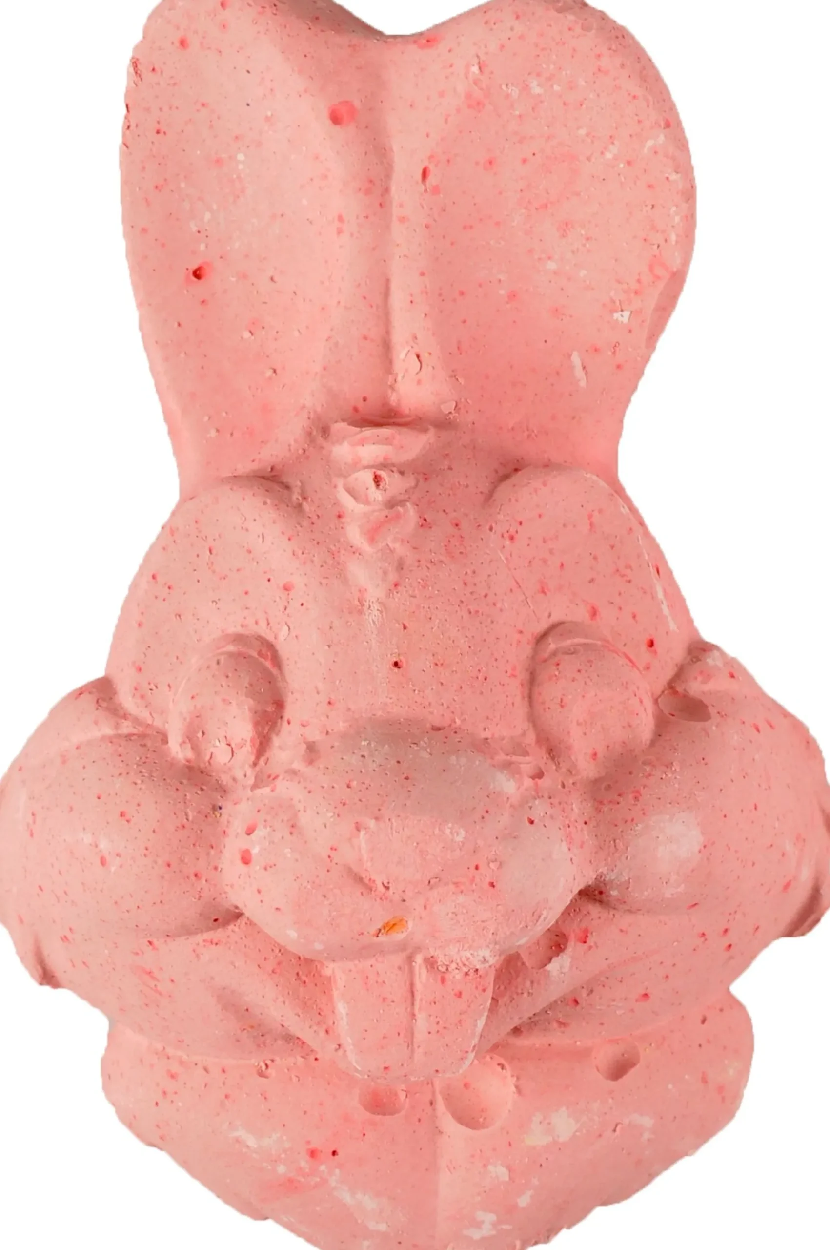 Mineraal liksteen konijn 80g