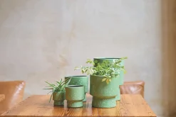 MINIPOT D7,5 MOON GRASGROEN