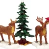 Mr and mrs moose, set of 3