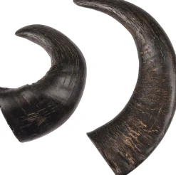 Nature snack hoorn medium 2stuks