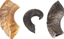 Nature snack schaapshoorn 200gr