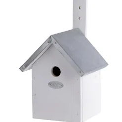 Nestkast Pimpelmees Wit