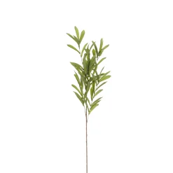 Olijf branche groen - l85cm