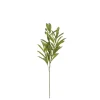 Olijf branche groen - l55cm