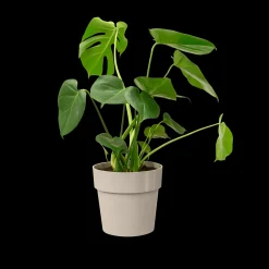 ORIGINAL ROND 30CM WARM GRIJS