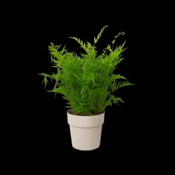 ORIGINAL ROND 16CM WARM GRIJS