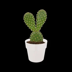 ORIGINAL ROND MINI 7CM WIT