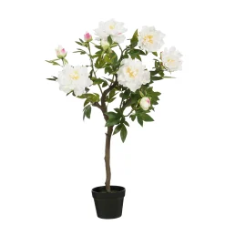 Pioen in pot - l40xb50xh96cm