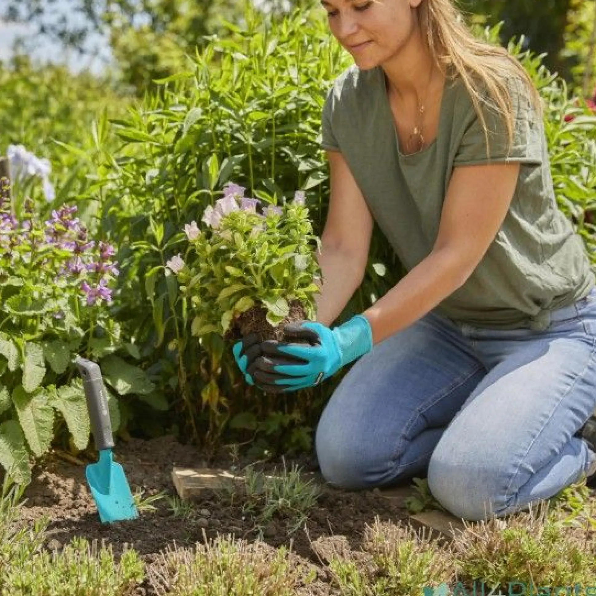 Plant- en bodemhandschoen L