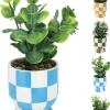 Plant in keramische pot 18cm - 4ass