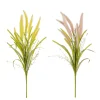 Pluimgras - l58cm