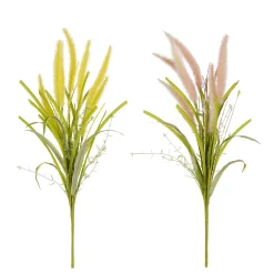 Pluimgras - l58cm