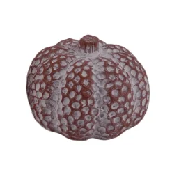 Pompoen 12x10cm