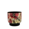 Pot camelia poppy d15 h14