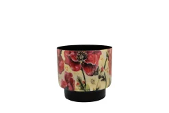 Pot camelia poppy d15 h14