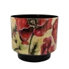 Pot camelia poppy d22 h20