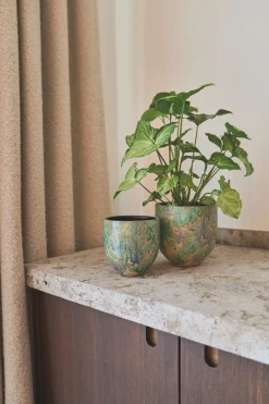 POT D44 ARRAY GRASGR