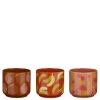 Pot fruit oranje roze paars 3 assorti display - h10,5xd12cm