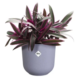 Pot jazz rond 19cm lavendel lila