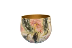 Pot monstera mystery d21 h17